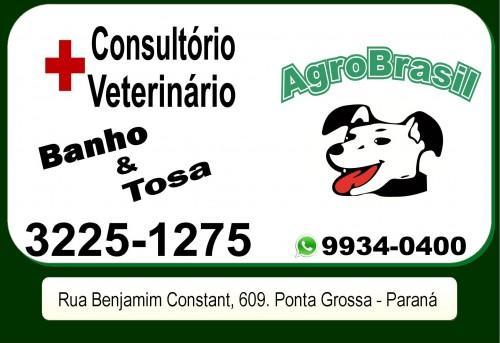 Imagem da empresa Agro Brasil