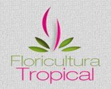 Imagem da empresa Floricultura Tropical